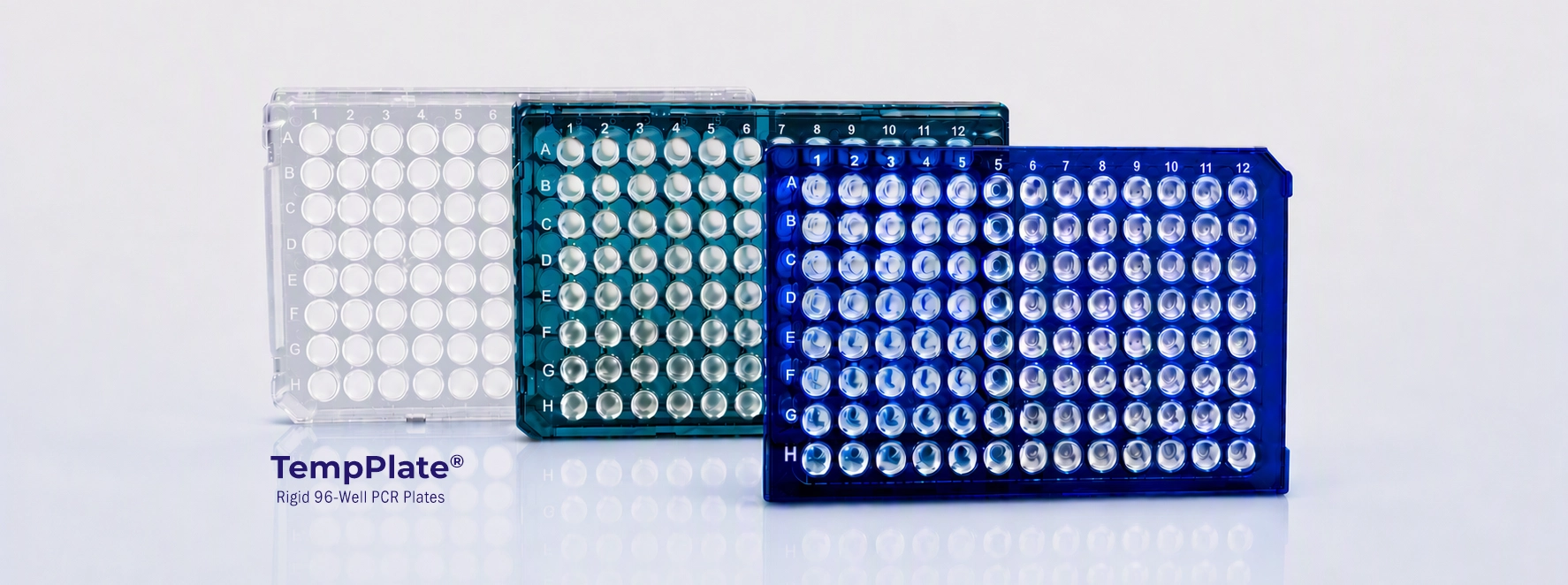 PCR Rigid Plates